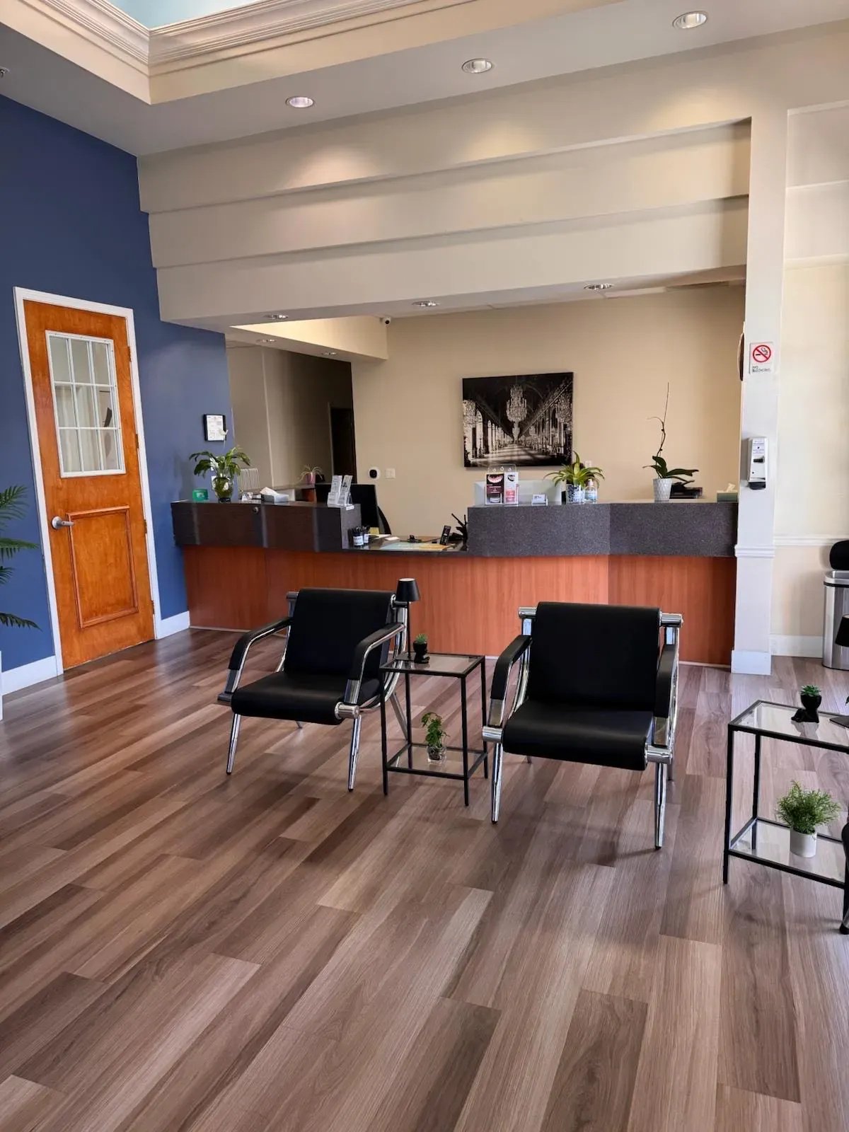 Modern reception area with black chairs and green plants